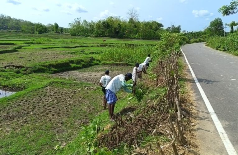 রাঙ্গুনিয়ায় বছরব্যাপী বৃক্ষরোপণ কর্মসূচির শুরু, বজ্রপাতের ঝুঁকি কমাতে গুমাইবিলে তালগাছ রোপণ