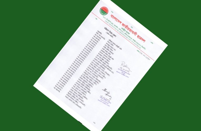 উত্তর জেলা ছাত্রদল কমিটিতে রাঙ্গুনিয়ার ব্যাপক প্রতিনিধিত্ব
