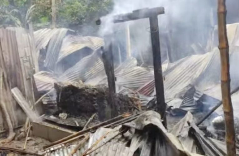 রাঙ্গুনিয়ায় অগ্নিকাণ্ডে পুড়ে ছাই ২ বসতঘর