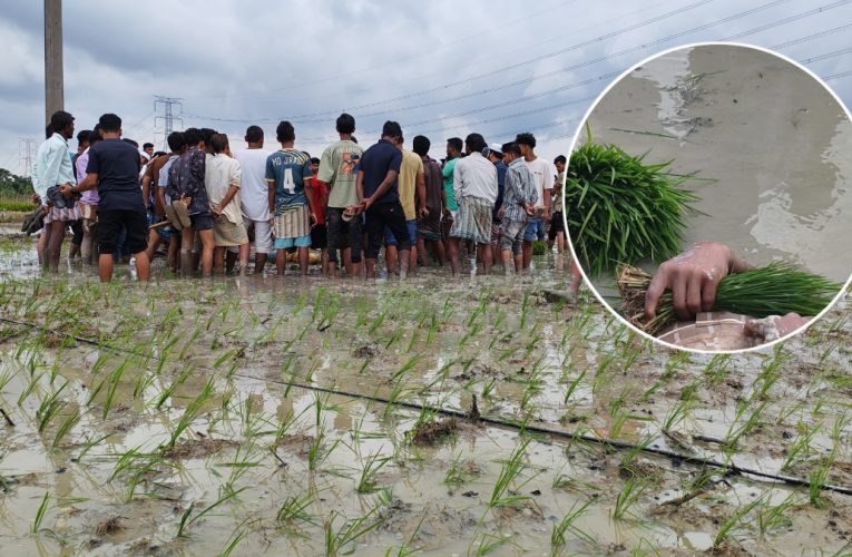 ফটিকছড়িতে ধানের চারা রোপণের সময় বিদ্যুৎস্পৃষ্টে দুই কৃষিশ্রমিকের মৃত্যু