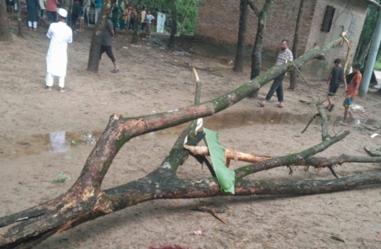রাঙ্গুনিয়ায় খেলতে গিয়ে গাছের ডালচাপায় প্রাণ গেল শিশুর