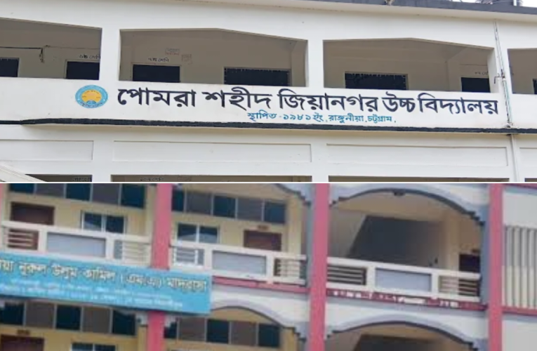 রাঙ্গুনিয়ায় পাসের হারে স্কুলে পোমরা শহীদ জিয়ানগর, মাদ্রাসায় নূরুল উলুম, ভোকেশনালে সরফভাটা