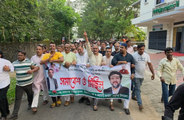 ‘সন্ত্রাস-নৈরাজ্যের বিরুদ্ধে ঐক্যবদ্ধ হতে হবে’: লালানগরে বিএনপি নেতারা