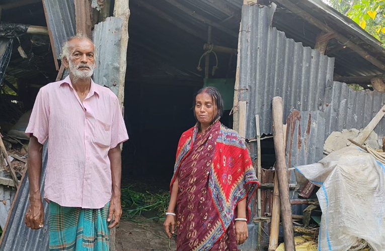 পটিয়ায় গোয়ালঘরের তালা ভেঙে তিন গরু চুরি, নিঃস্ব পরিবার